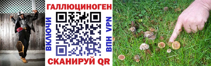 KRAKEN онион  Ковылкино  Псилоцибиновые грибы Psilocybine cubensis  где купить наркоту 